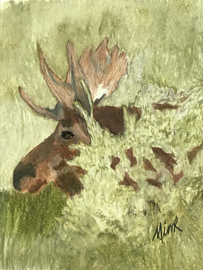 Hidden Moose Drawing by Marianne Royston - Pixels