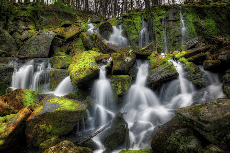 Hidden Mossy Falls Photograph by Bill Wakeley