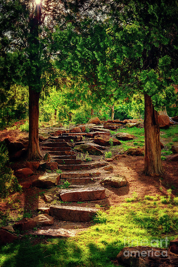 Hidden Path at Honor Heights Park Photograph by Tamyra Ayles