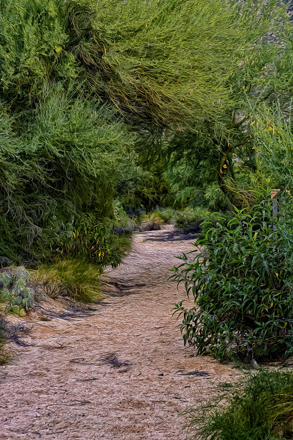 Tucson Photograph - Hidden Path No24 by Mark Myhaver