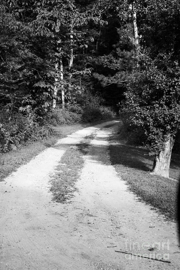 Hidden Road Photograph by Roberta Byram