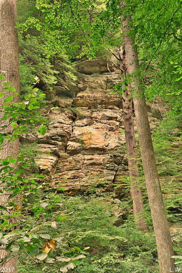 Hidden Rock Wall Photograph by Lisa Wooten