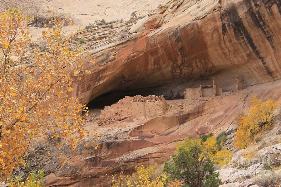 Hidden Ruins 2 Photograph by Tonya Hance | Fine Art America