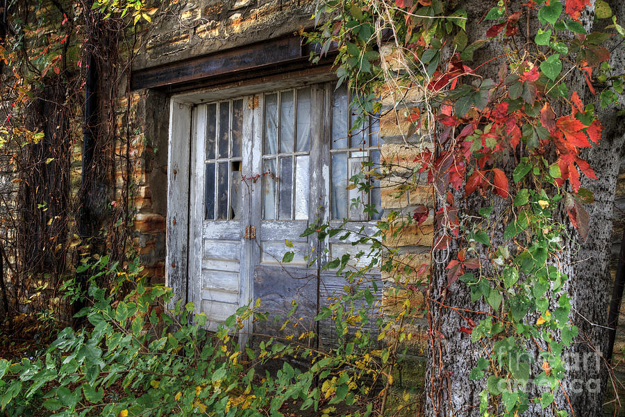 Fall Photograph - Hidden Spaces by Jill Van Doren Rolo