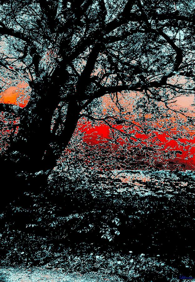 Hidden Sunset Digital Art