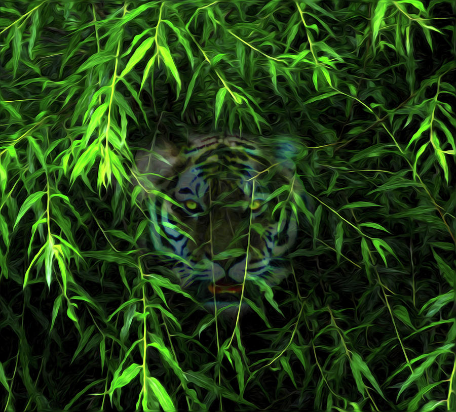 Hidden Tiger Photograph by Bill Cannon