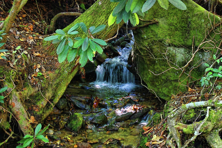 Waterfall Photograph - Hidden Treasures by HH Photography of Florida