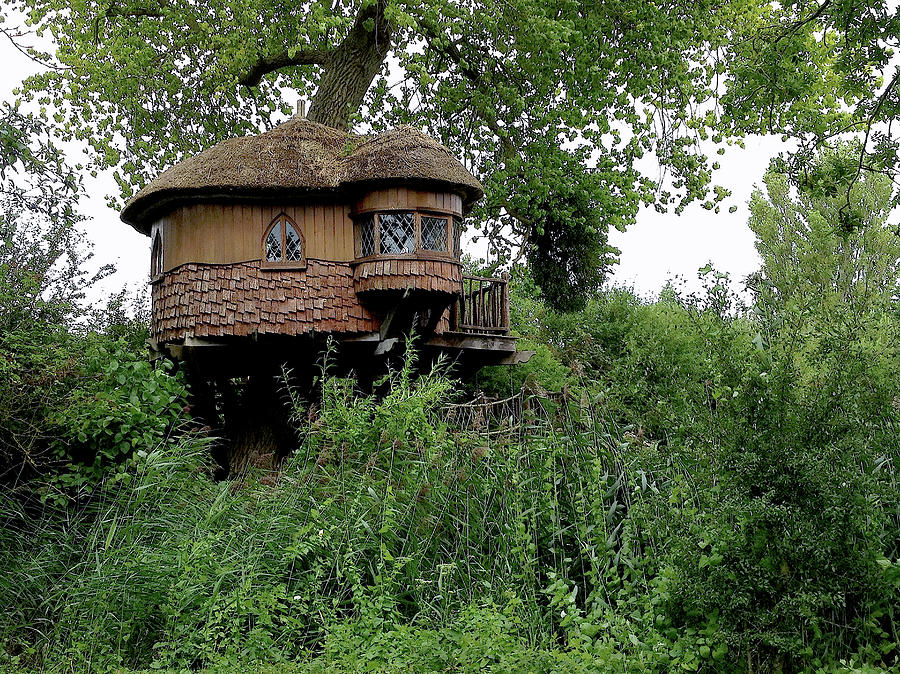 Hidden Treehouse Photograph by Nicole Parks - Fine Art America