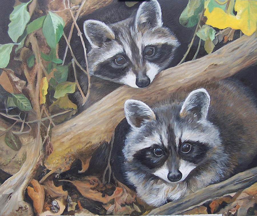 Raccoon Painting - Hidden Twins by Audrie Sumner
