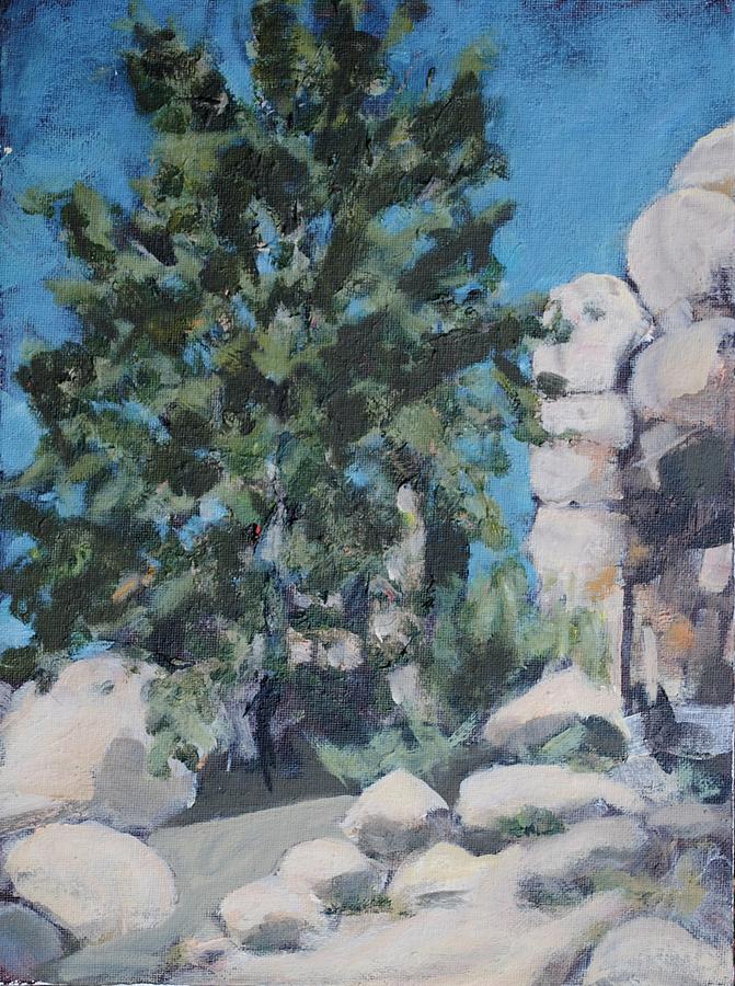 Hidden Valley Painting by Richard Willson