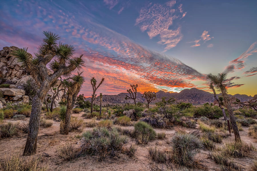 Hidden Valley Sunset II Photograph by Peter Tellone