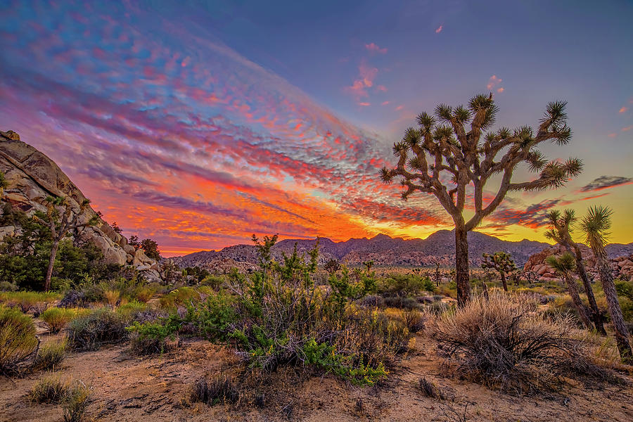 Hidden Valley Sunset Photograph by Peter Tellone