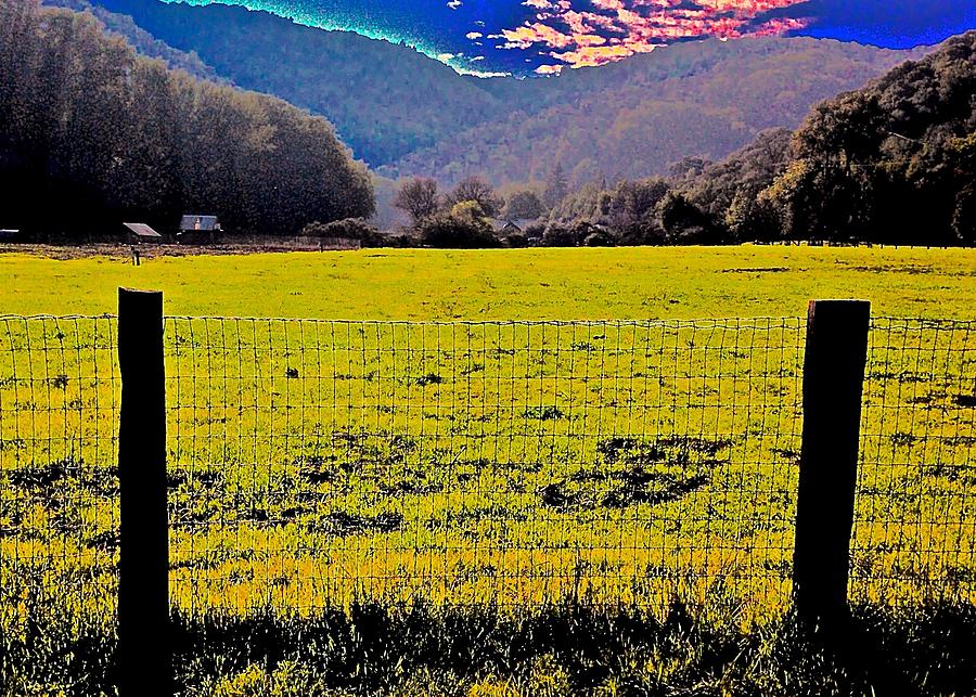 Hidden Villa Ranch Photograph by Scott L Holtslander - Fine Art America