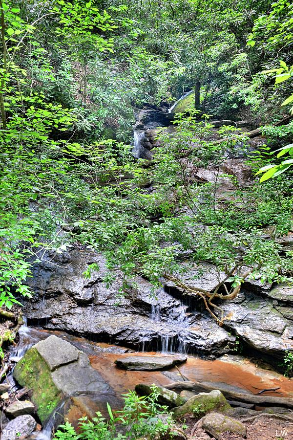 Hidden Waterfall At Stumphouse Tunnel Oconee County South Carolina Vertical Photograph by Lisa Wooten