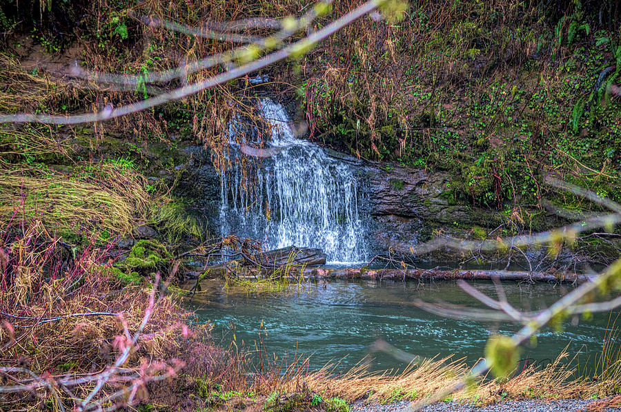 hidden Waterfall Photograph by Bill Posner