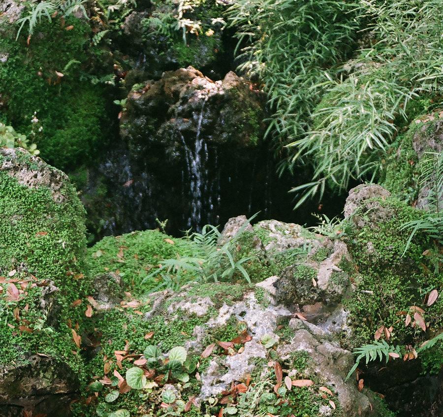 Hidden Waterfall Photograph by Dean Triolo