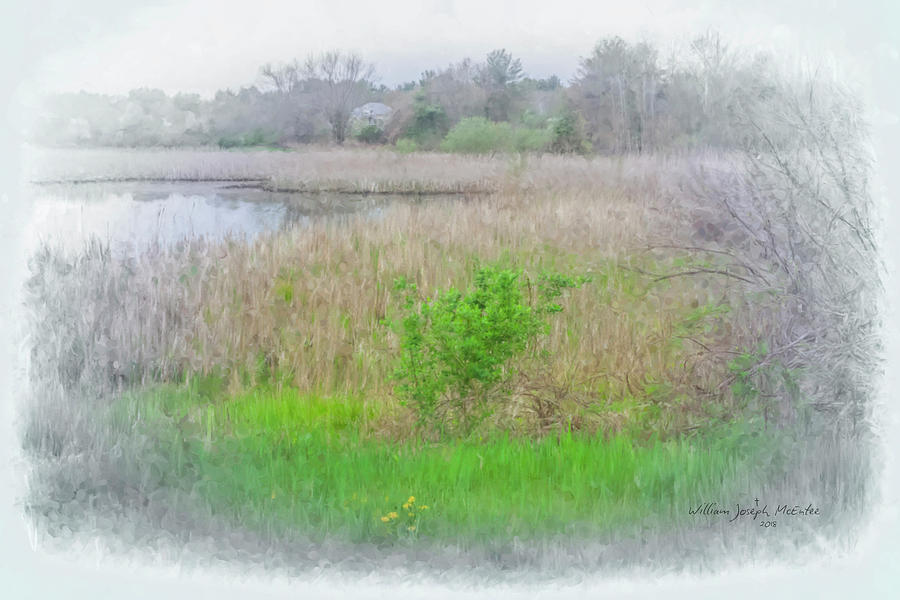 Hidden Wetlands  Painting by Bill McEntee