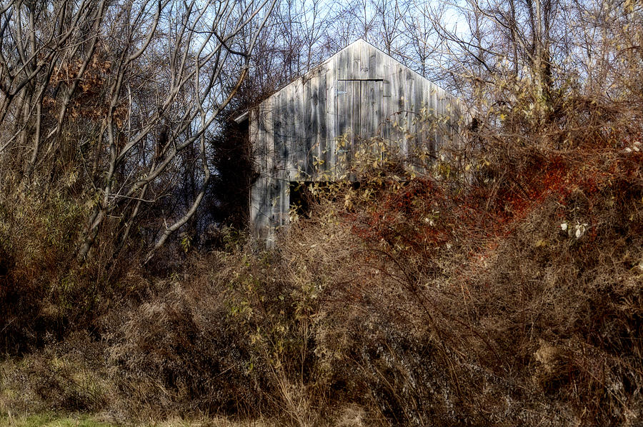 Hide A Barn Photograph by Ross Powell