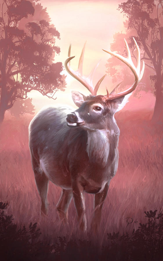 Deer Painting - In the wilderness by Joel Payne
