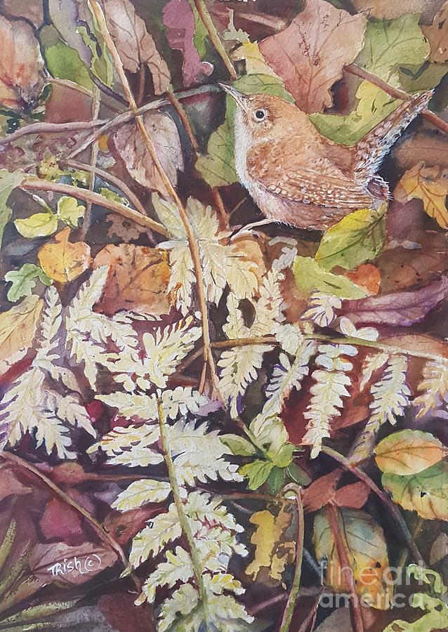 Wren Painting - Hideout by Patricia Pushaw