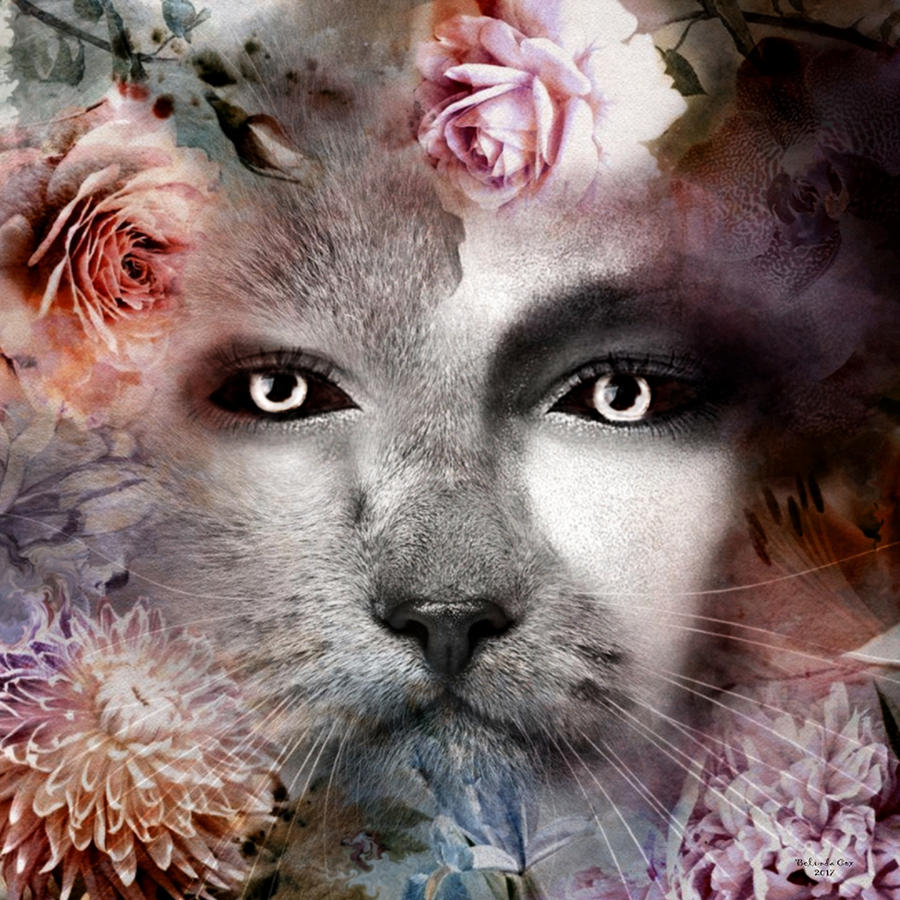 Hiding Catlady Digital Art by Artful Oasis