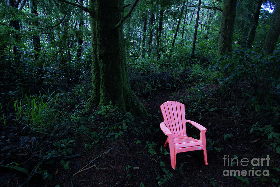 Nature Photograph - Hiding Place by Masako Metz