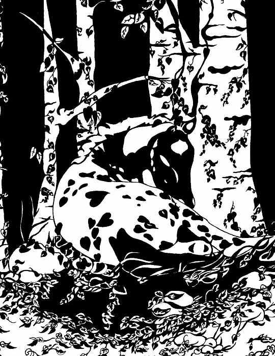 Pony Print - Hiding Places by Margaret Platt Pony Print - Hiding Places by Margaret Platt