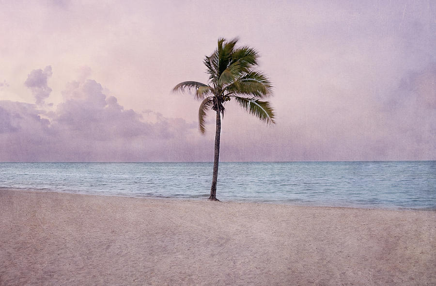 Higgs Beach - Key West Photograph by Kim Hojnacki