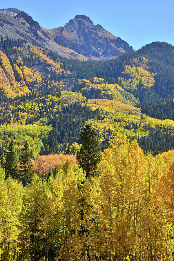 High Above Trout Lake Photograph by Ray Mathis | Fine Art America