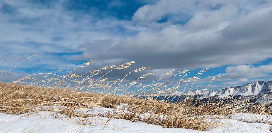 High Altitude Winter Grass Panorama Photograph by Cascade Colors