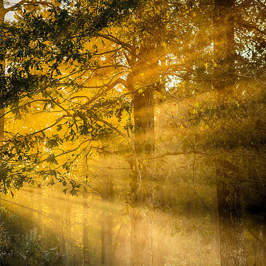 High Beams coaster Photograph by JoyLin Photography - Fine Art America