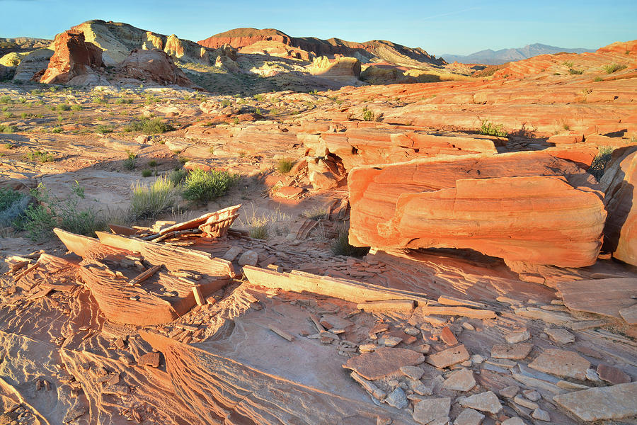 High Country at Sunset in Valley of Fire Photograph by Ray Mathis