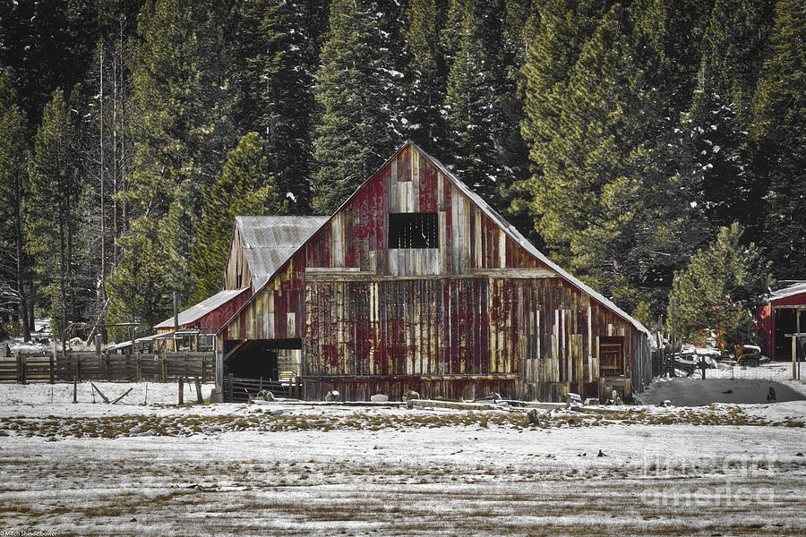Barn Photograph - High Country Barn by Mitch Shindelbower