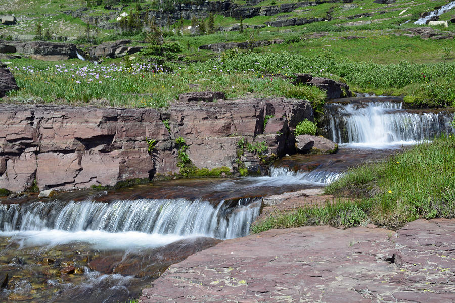 High Country Cascades in Glacier National Park Photograph by Bruce Gourley