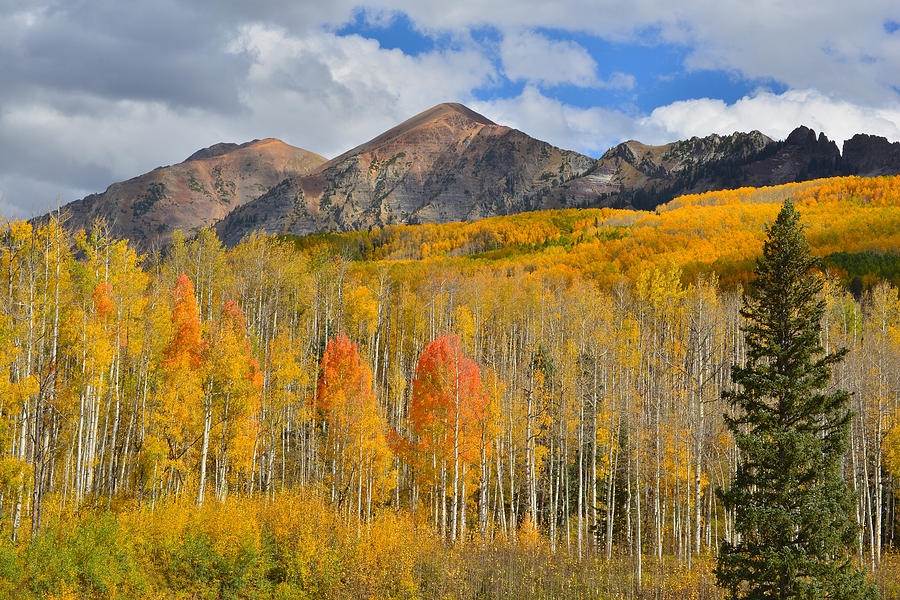 High Country Fall Colors Photograph by Ray Mathis