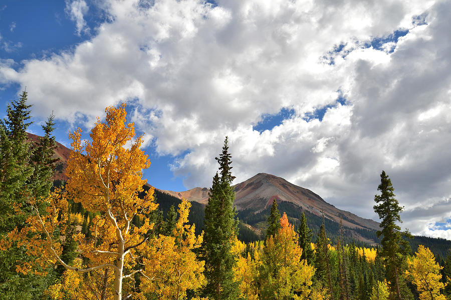 High Country Fall Photograph by Ray Mathis