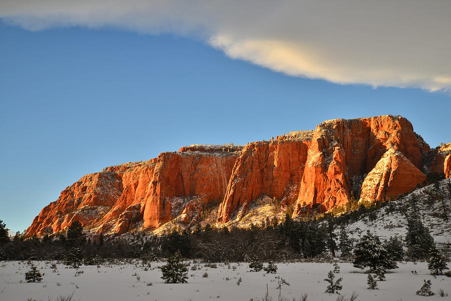 High Country Kolob Canyons Photograph by Ray Mathis