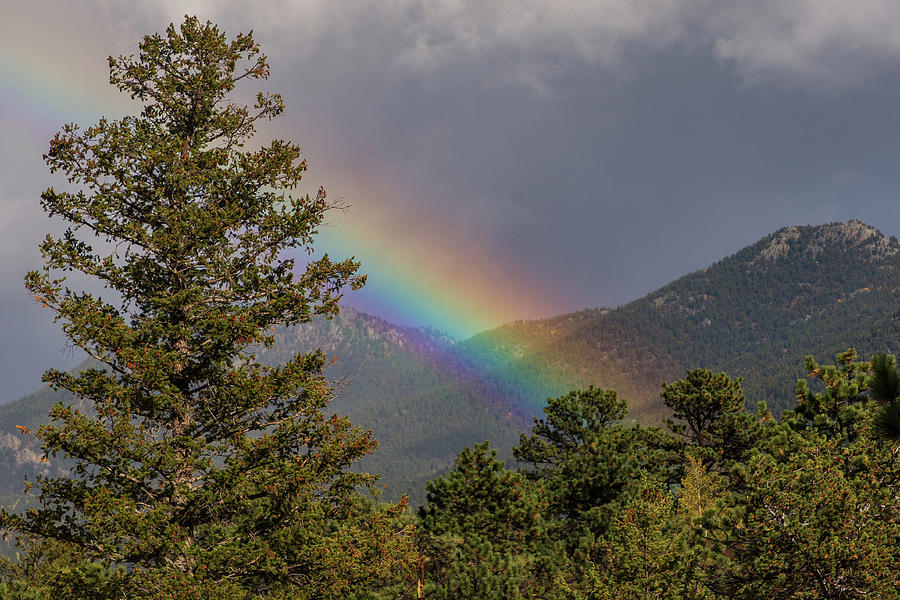 High Country Rainbow Photograph by Tony Hake