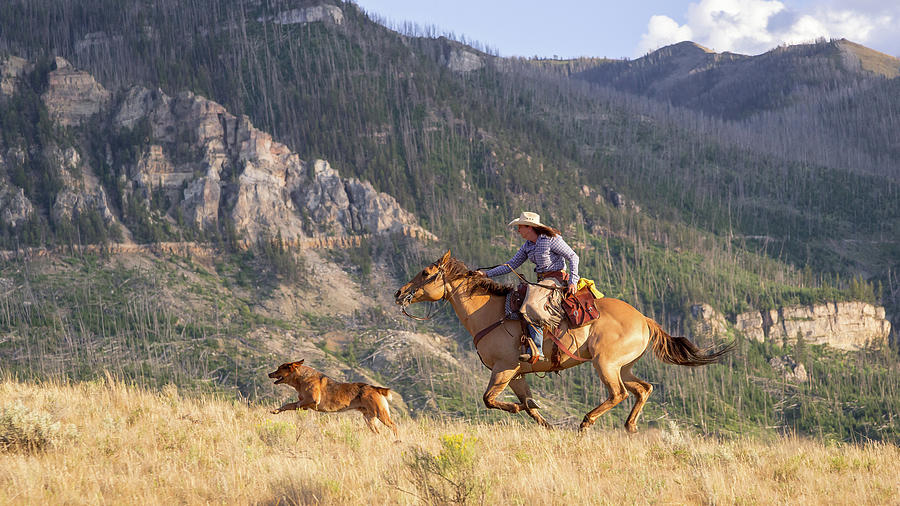High Country Ride Photograph by Jack Bell