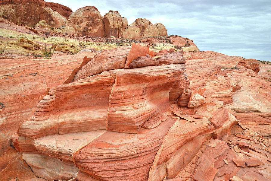 High Country Sandstone in Valley of Fire Photograph by Ray Mathis