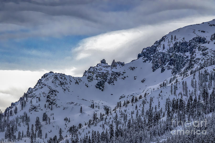 Winter Photograph - High Country Winter by Mitch Shindelbower