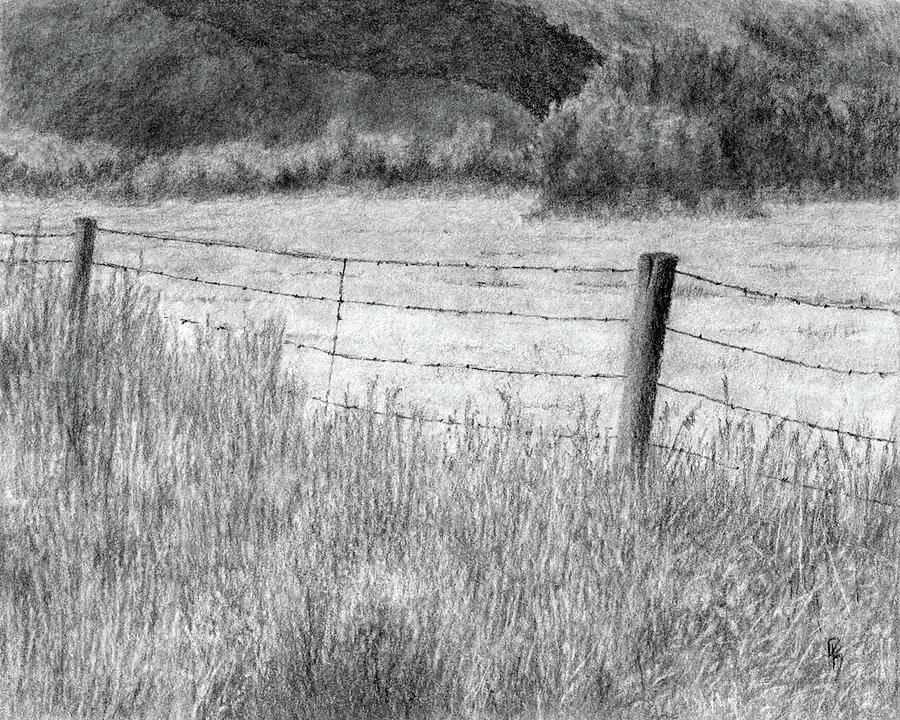 High Desert Hay Field Drawing by David King