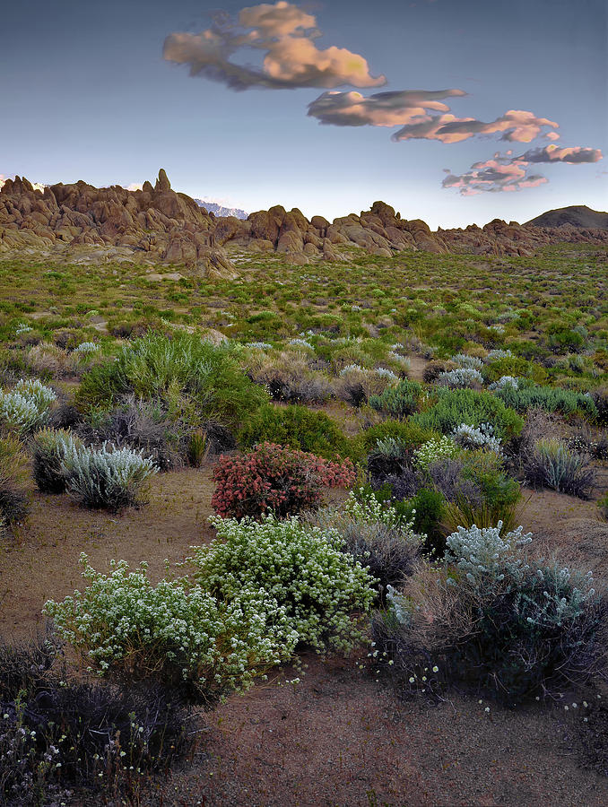 High Desert Hues by Paul Breitkreuz High Desert Hues by Paul Breitkreuz