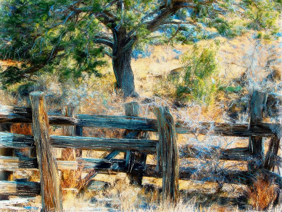 High Desert Mesquite Fence Painting by Barbara Chichester