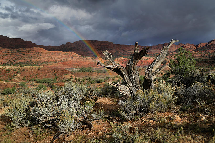 High Desert Rainbow Photograph