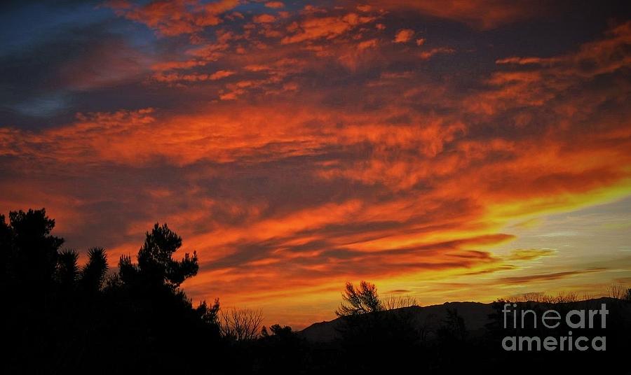 High Desert Sunrise Photograph by Angela J Wright