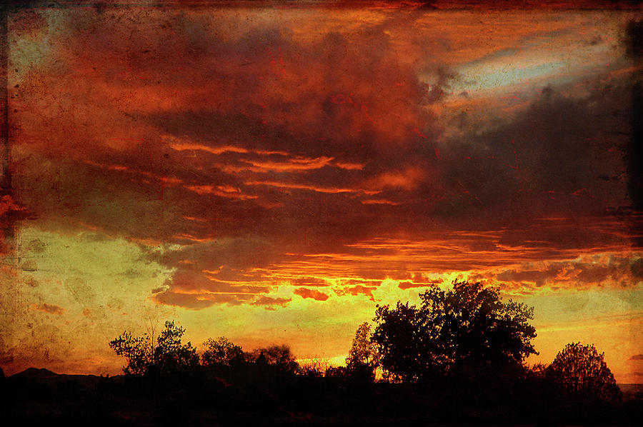 High Desert Sunset Painting by Burt Plotkin