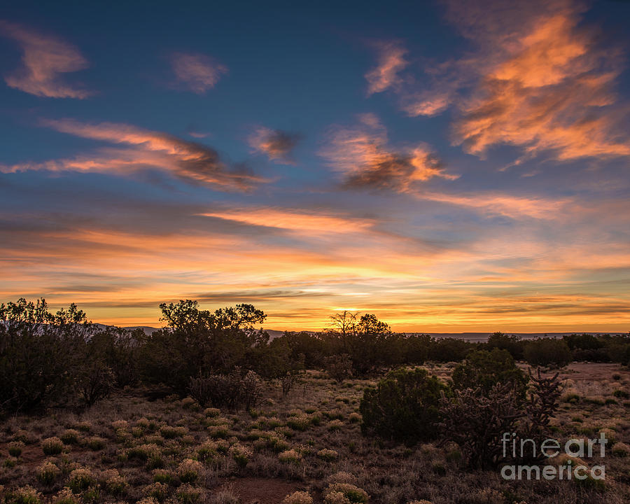 High Desert Sunset Photograph by Steven Natanson