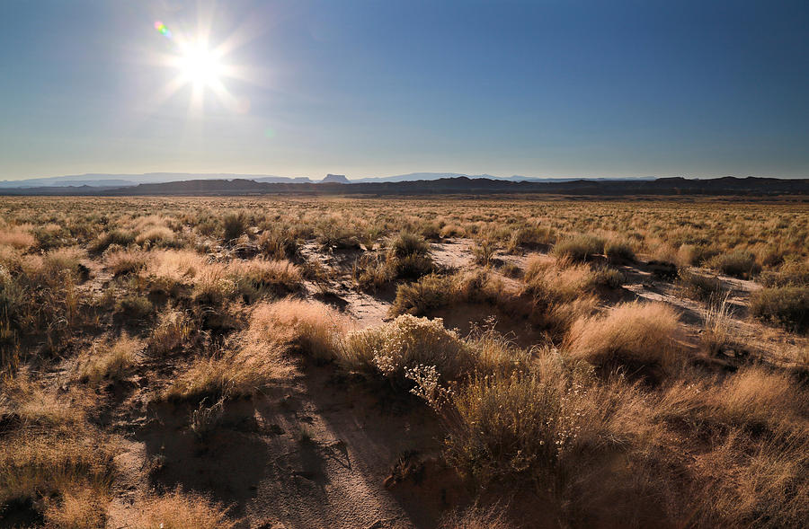 High Desert Plains Photograph by Gary Yost
