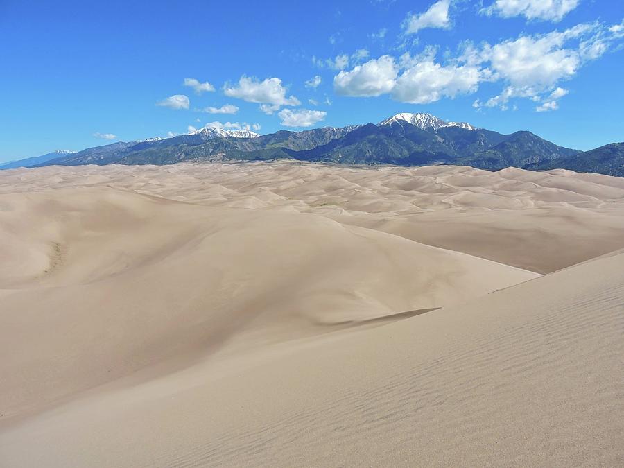 High Dune View Photograph by Connor Beekman - Fine Art America